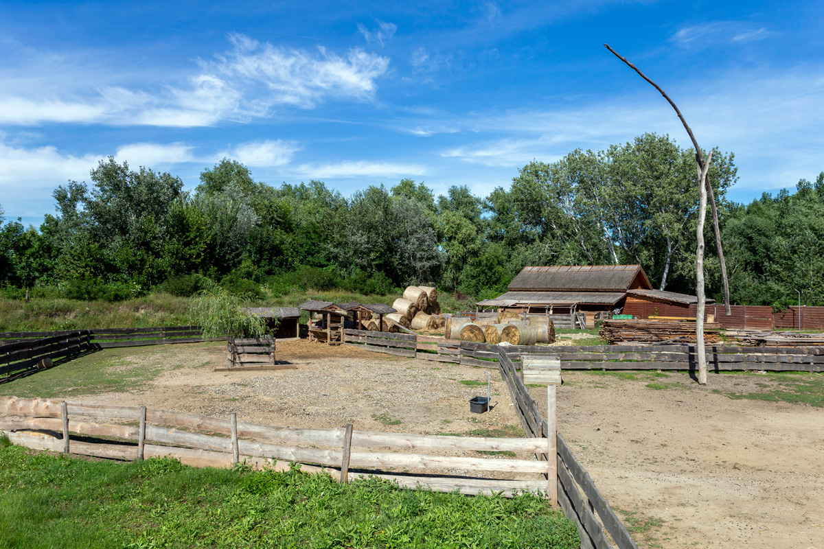 Tanyák kérdőjelekkel