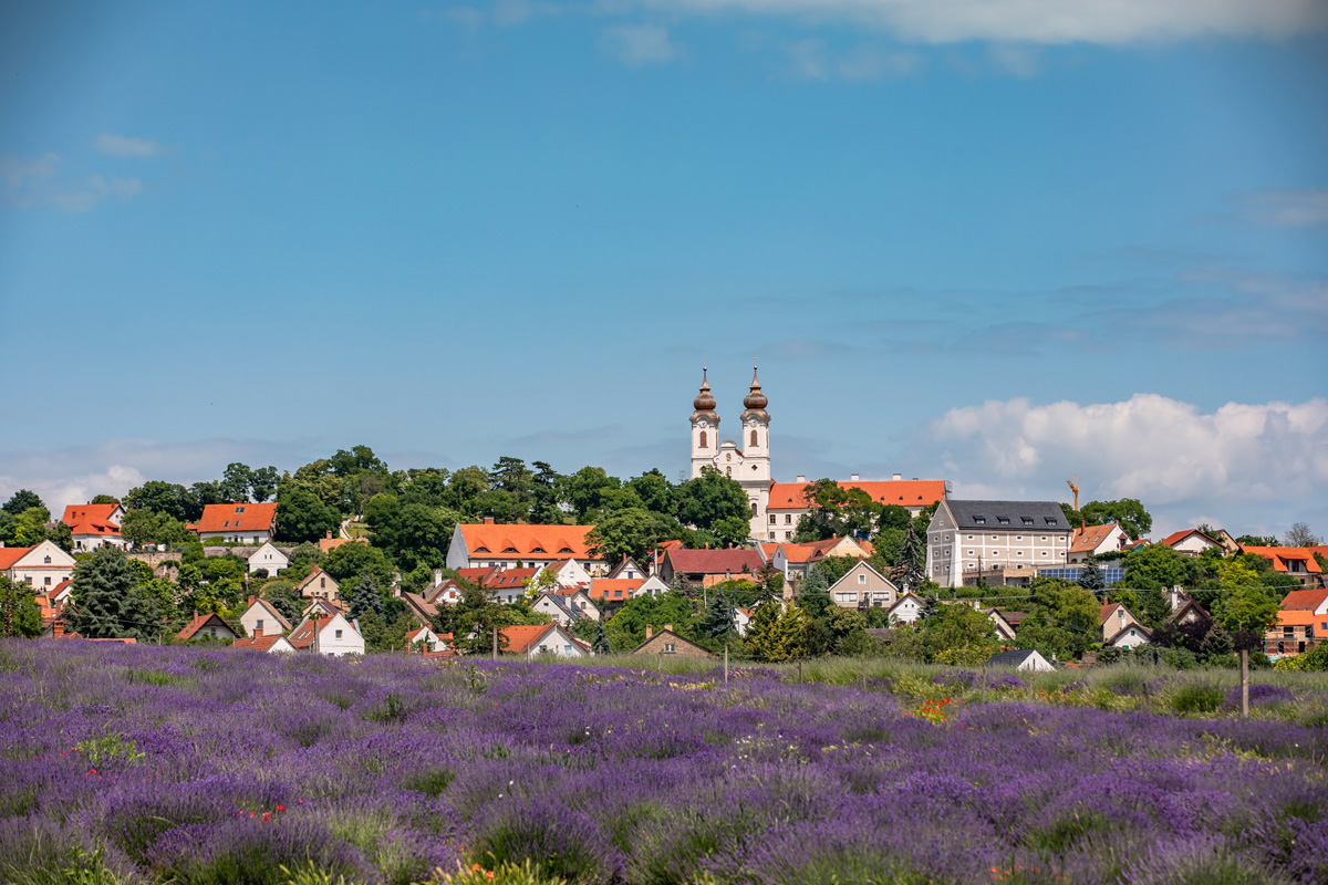 Gyógyító kövek és virágok