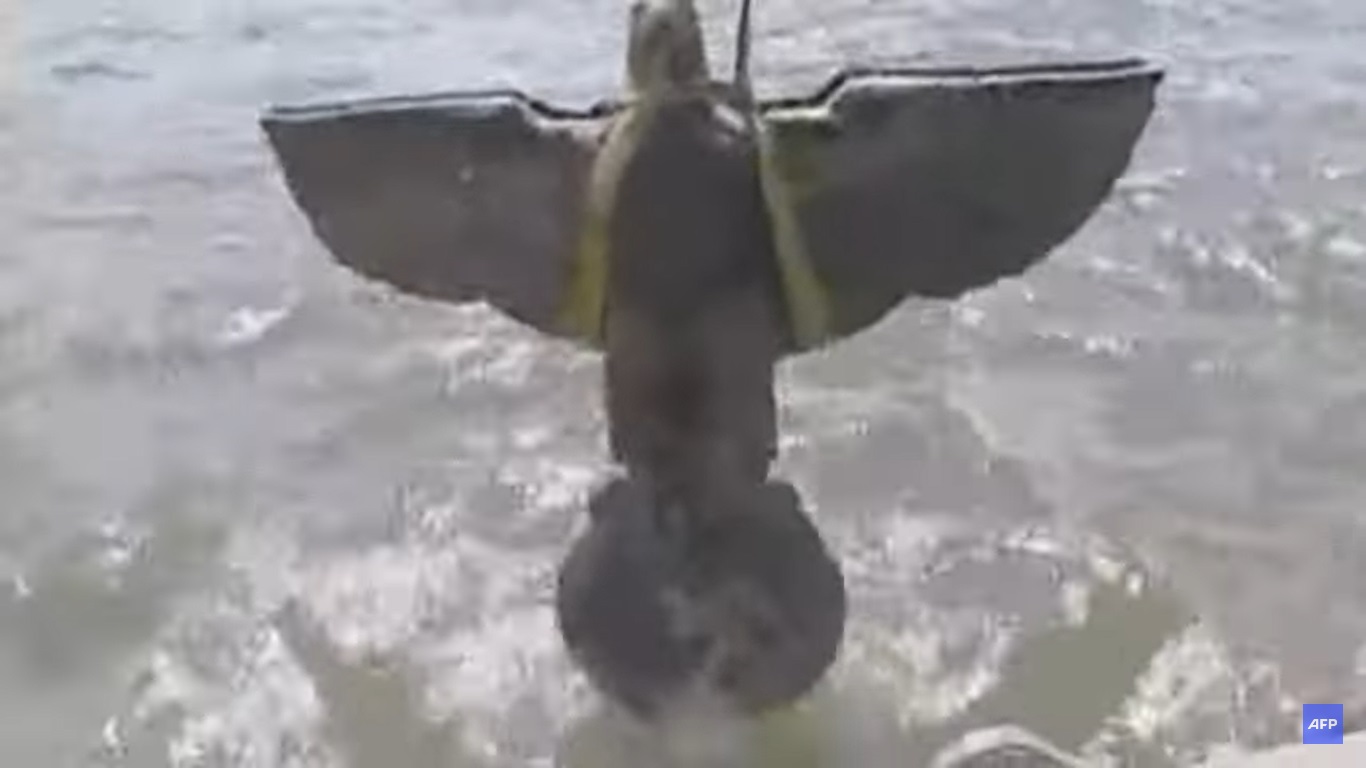 Mégsem lesz a náci sasból békegalamb