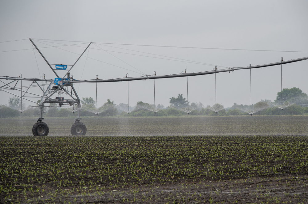 A víz egyszerre stratégiai erőforrás és a fenntarthatóság kulcsa