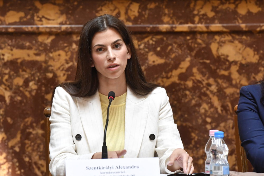 Szentkirályi Alexandra: A magyar családok jelentik a magyar jövőt