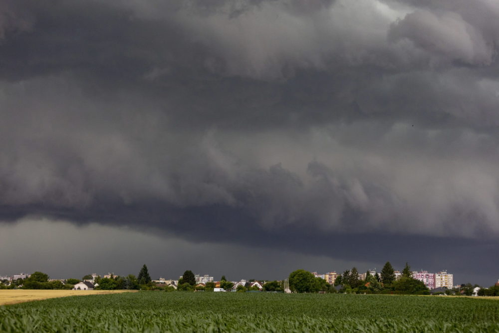 Tarolt a vihar Fejér, Tolna és Hajdú-Bihar vármegyében