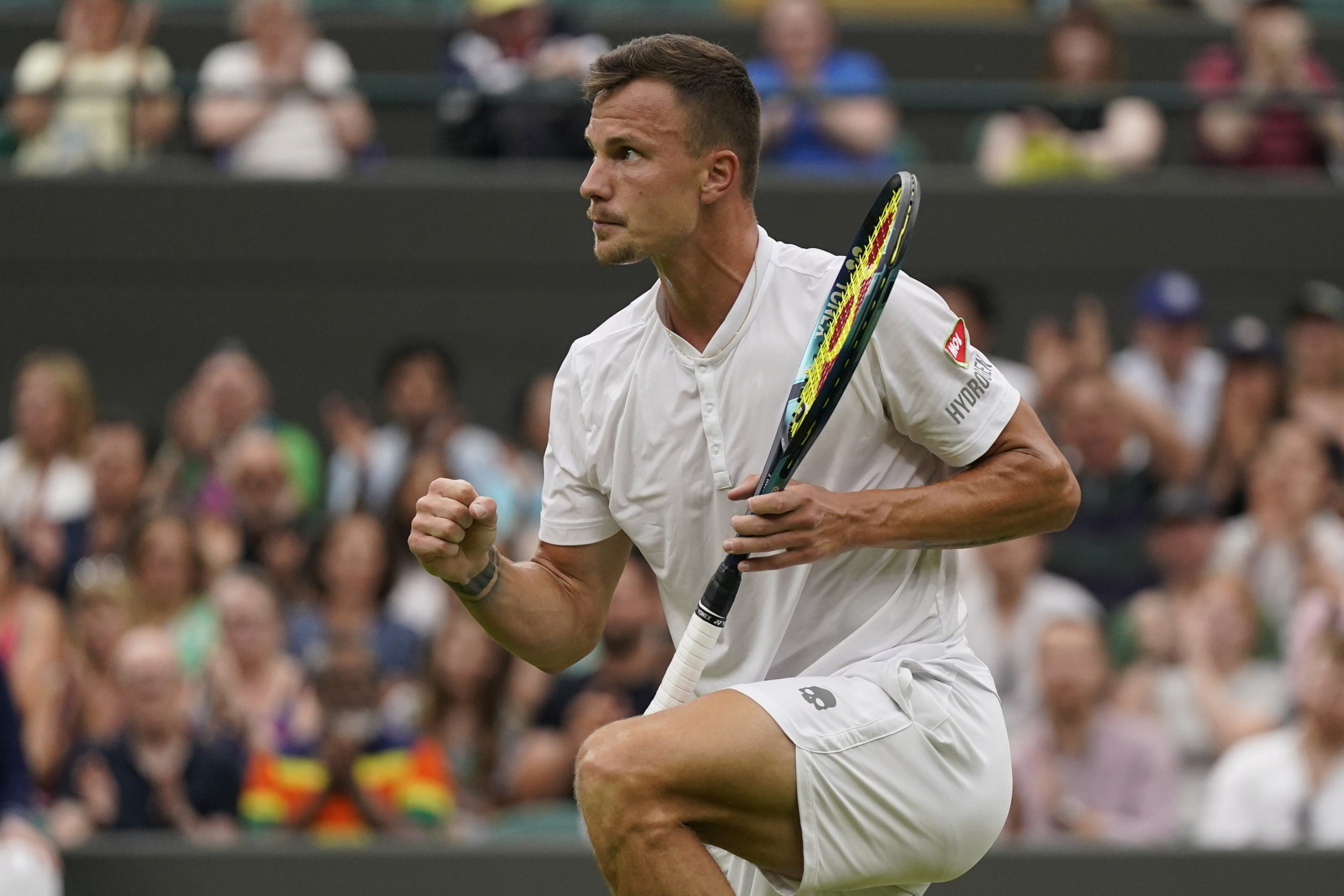 Fucsovics nem bírt Medvegyevvel