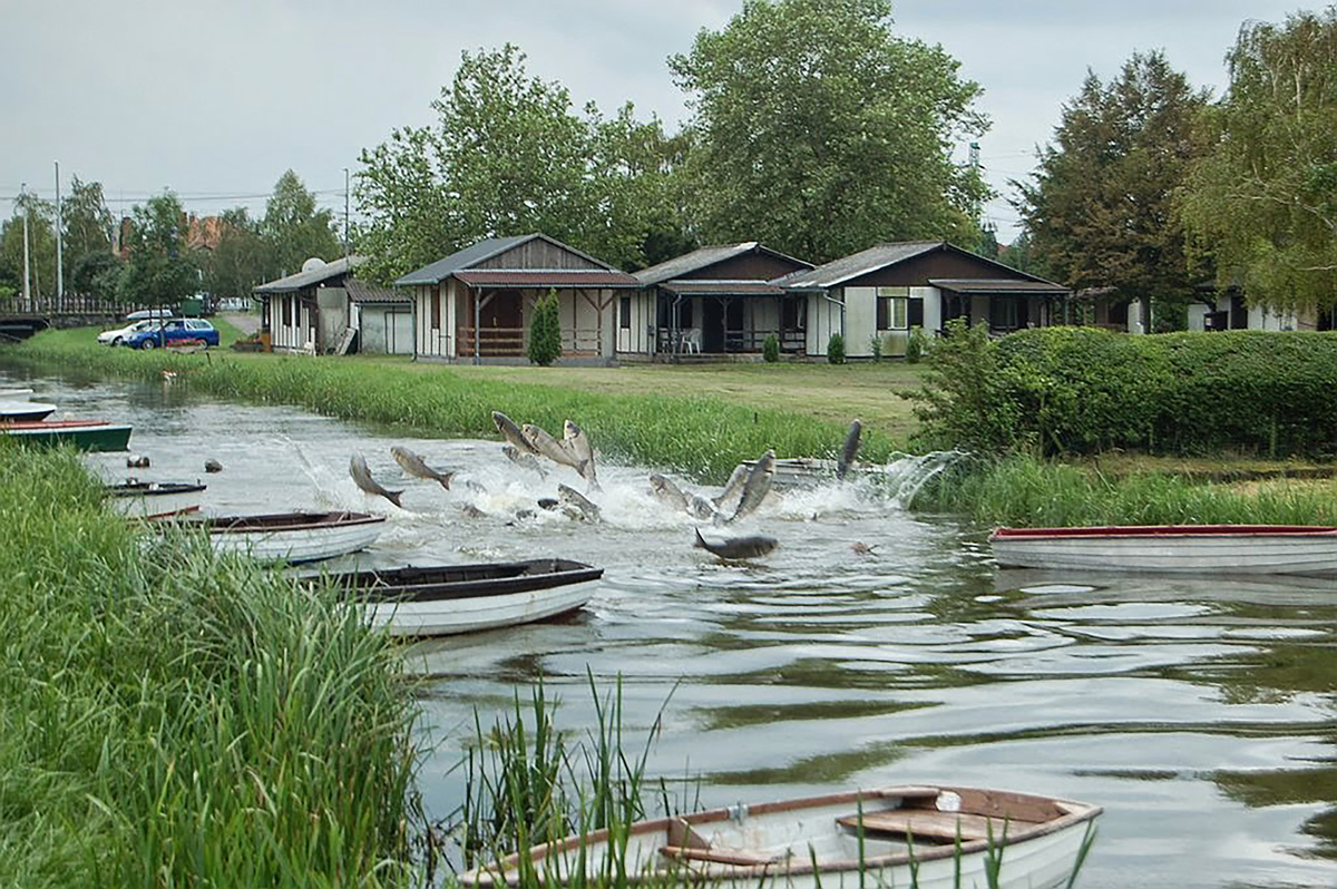 Még tartja magát a Balaton