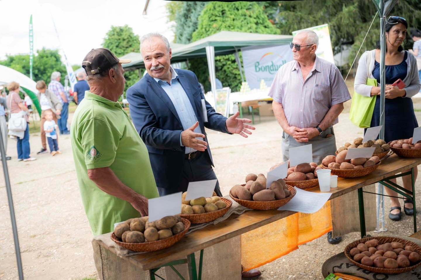 Az élelmezés meghatározó tényezője lett a burgonya