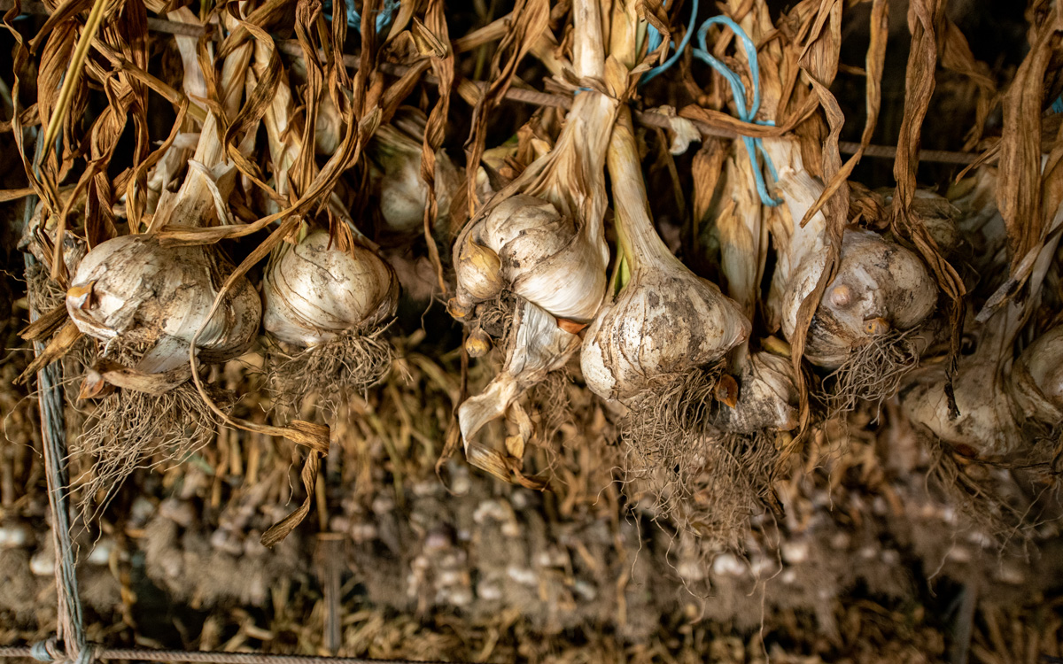 A fűszerek makói királynője