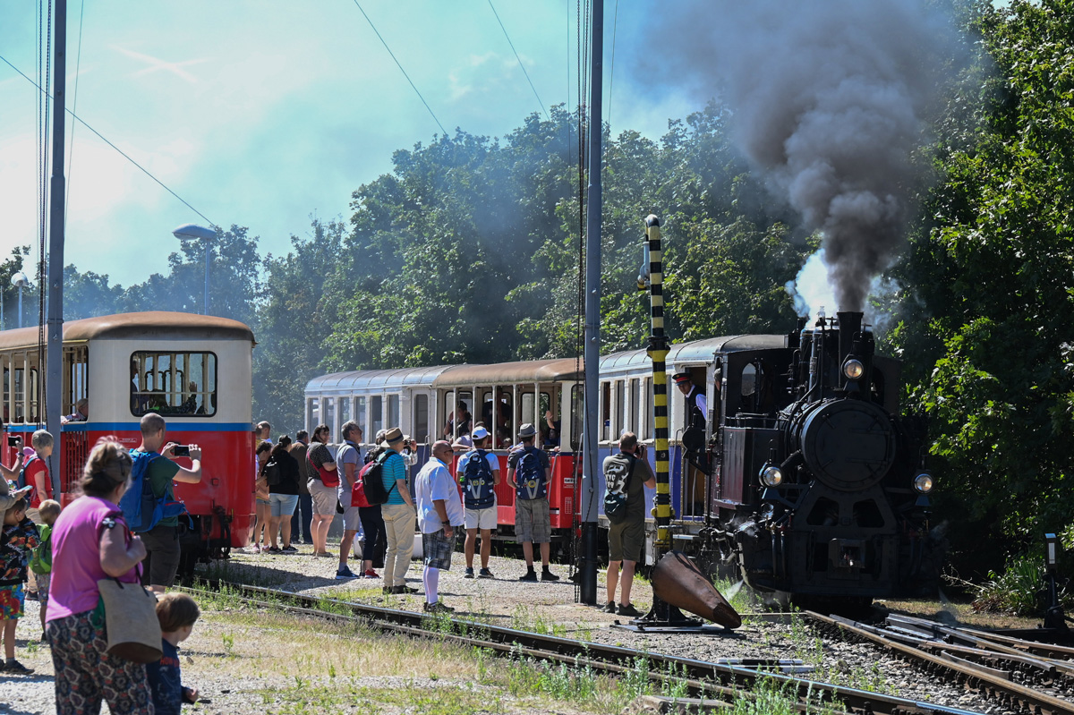 75 éves a Gyermekvasút