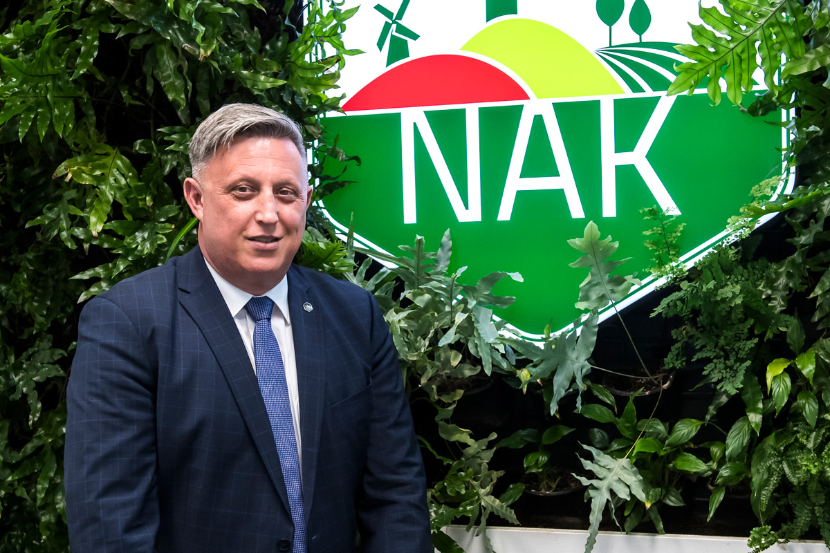 Nincs ára a gabonának