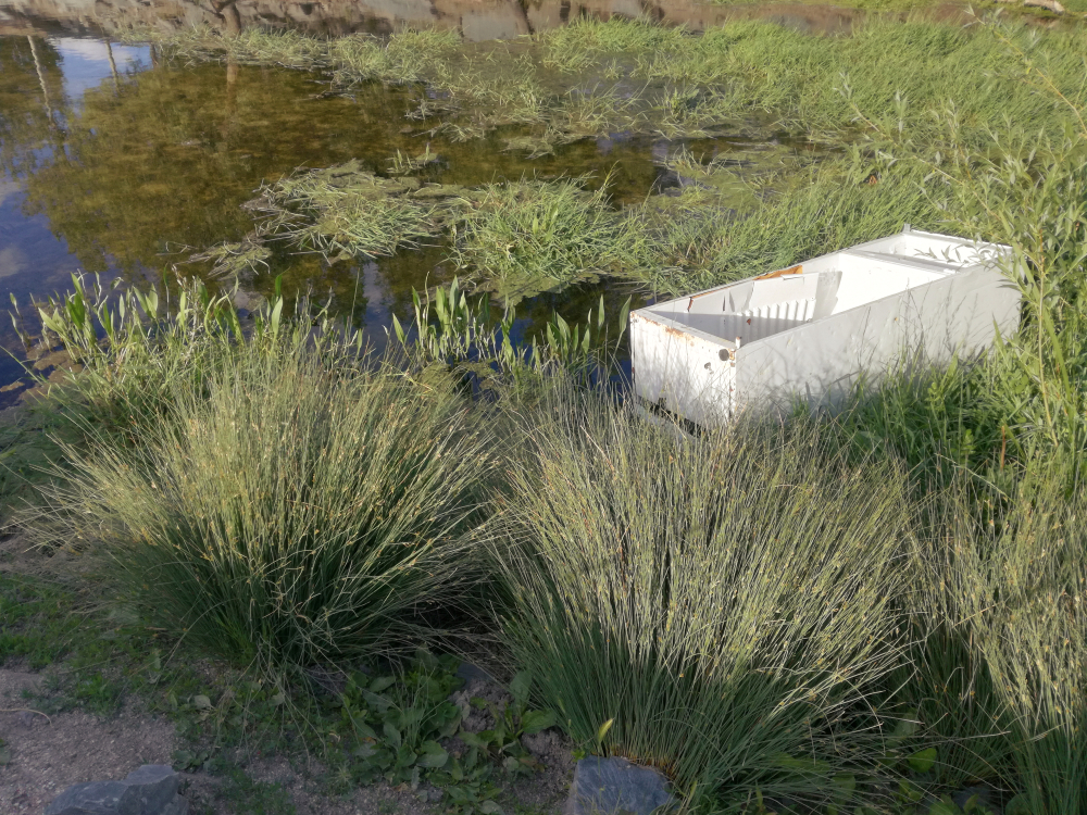 Emberi végtagokat találtak egy csatornába dobott hűtőszekrényben