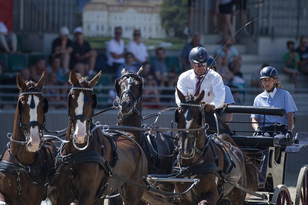 A Lipicai Lovasközpont a verseny minden kihívásának eleget tudott tenni