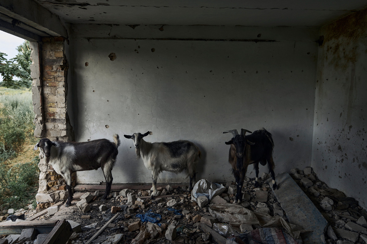 Rakétatámadás érte Zaporizzsját