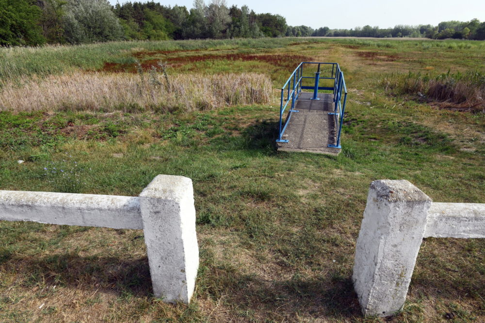 Magyarország egyre nagyobb területét sújthatja aszály