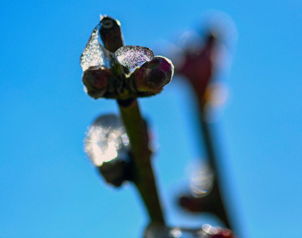 Közeleg a kárenyhítési hozzájárulás befizetésének határideje