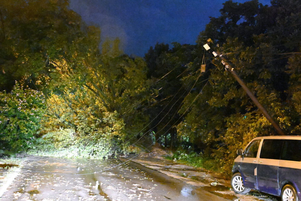 Több mint kétezer bejelentés érkezett a katasztrófavédelemhez viharkárokról