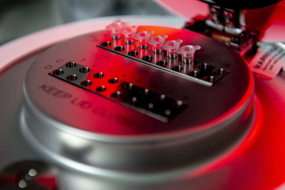 Magyarországon is azonosították a koronavírus új variánsát