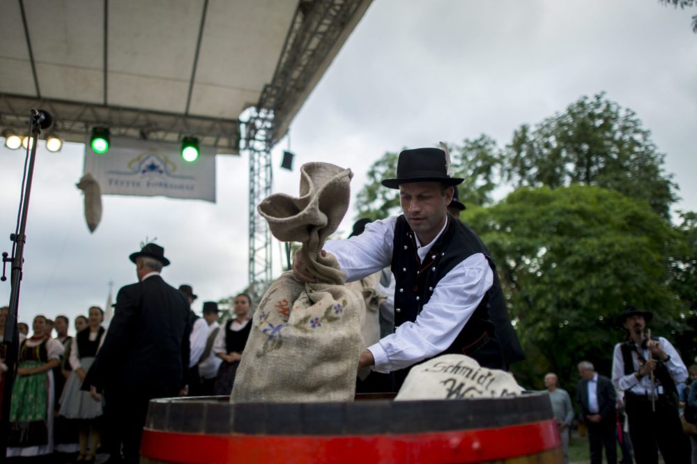 Ingyenes családi programok várják a pécsi városi ünnepség résztvevőit