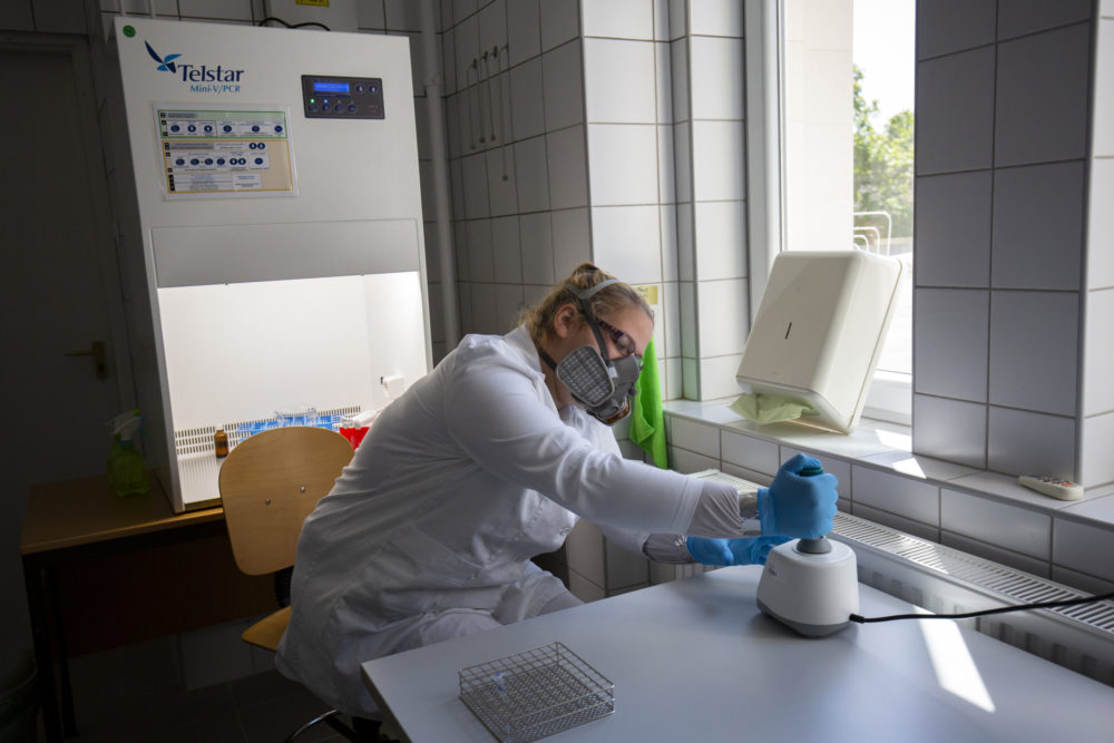 Csökken a szennyvízben a koronavírus örökítőanyagának koncentrációja