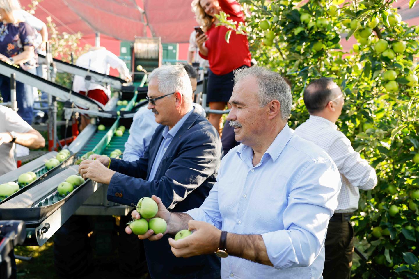 Nagy István: az idén jó almatermés várható