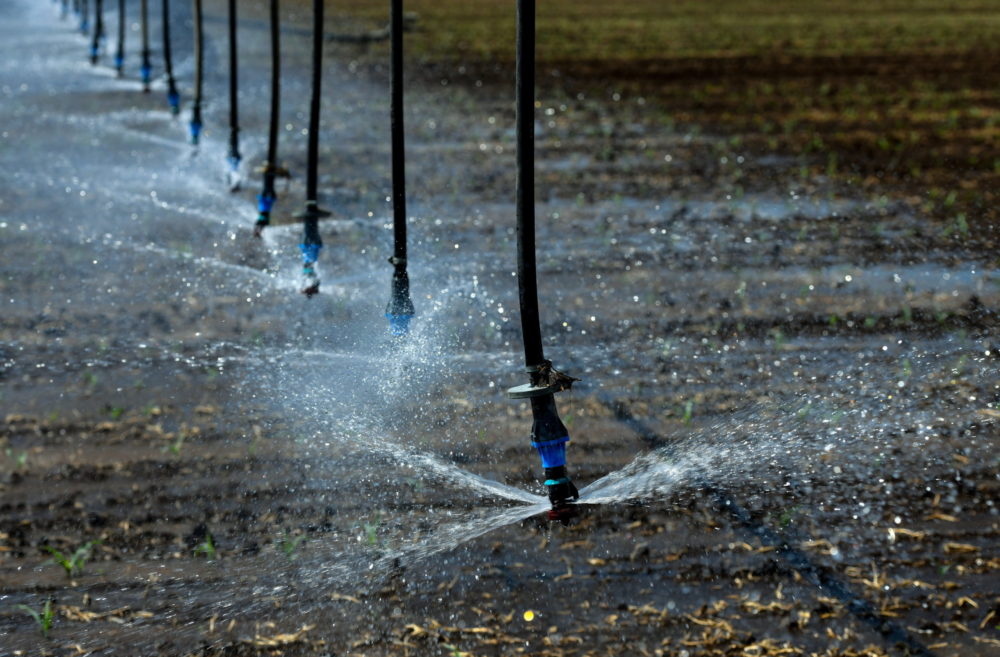 Az éghajlatváltozásra hívja fel a figyelmet az élelmezési világnap