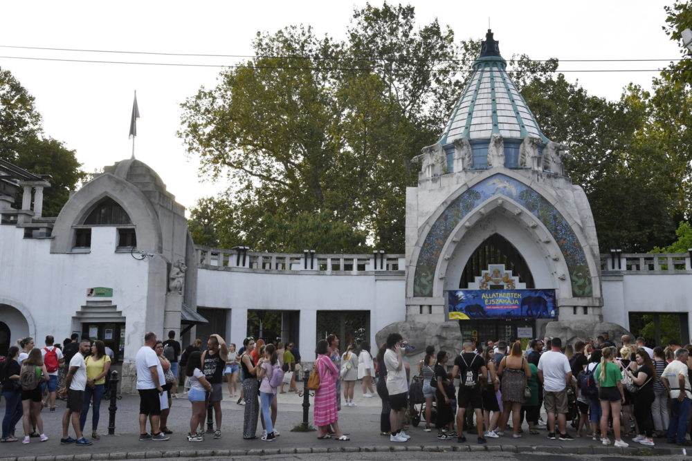 Különleges programokkal készül Halloweenra a Fővárosi Állatkert