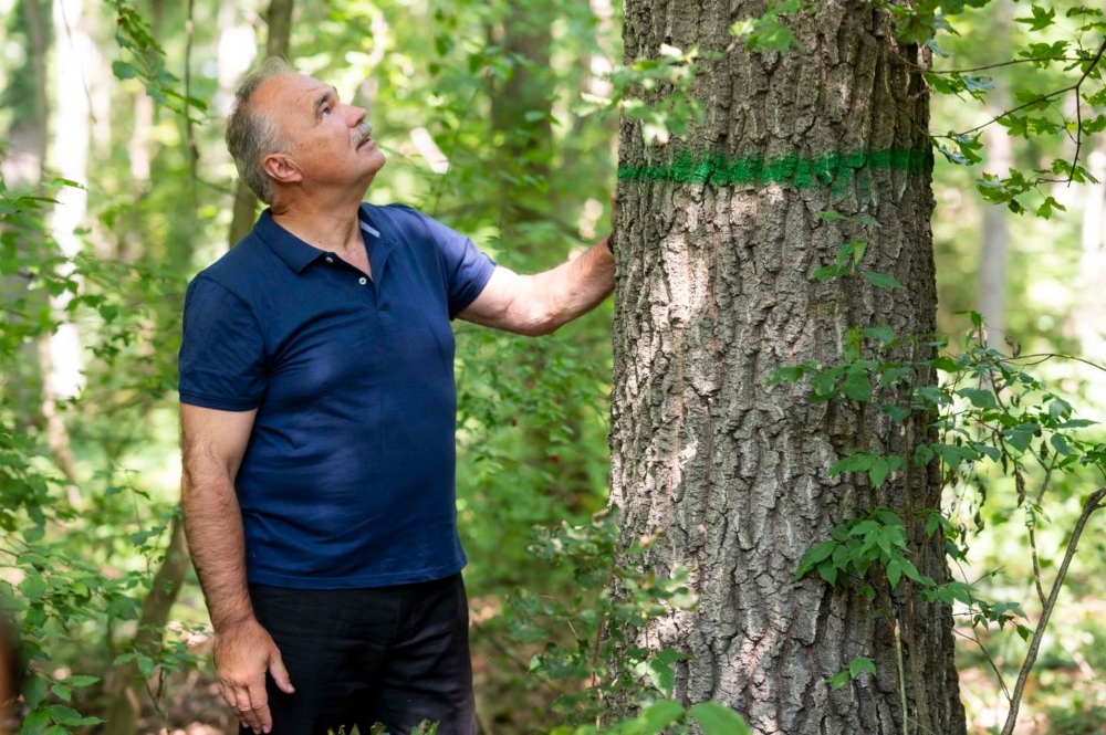 Plusz forrásban részesülnek az erdészeti és természetvédő civil szervezetek