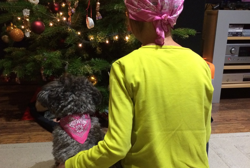 „Varázsolj ajándékot a karácsonyfa alá!”