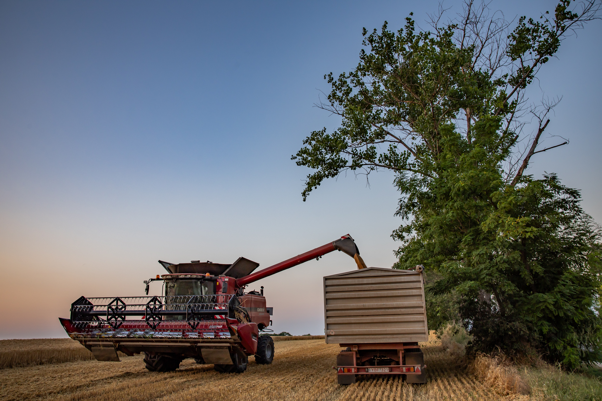 Befejeződnek az őszi betakarítási munkálatok