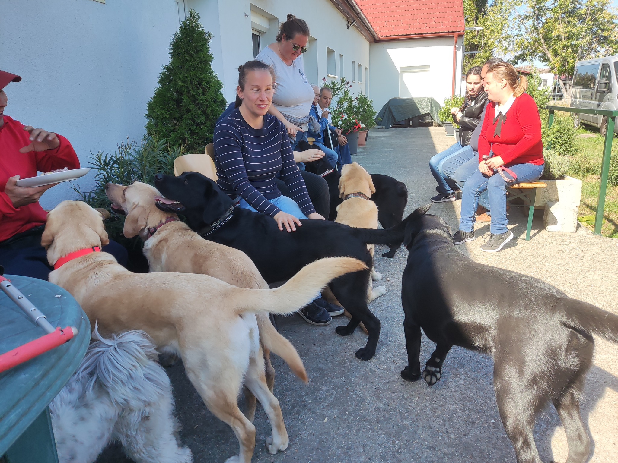 Köszönet a Magyar Vakok és Gyengénlátók Országos Szövetségének