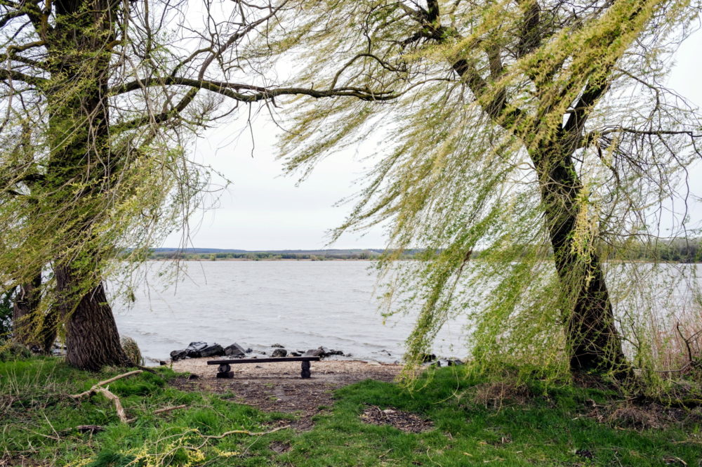 Rendkívüli évet zárt a hazai természetvédelem