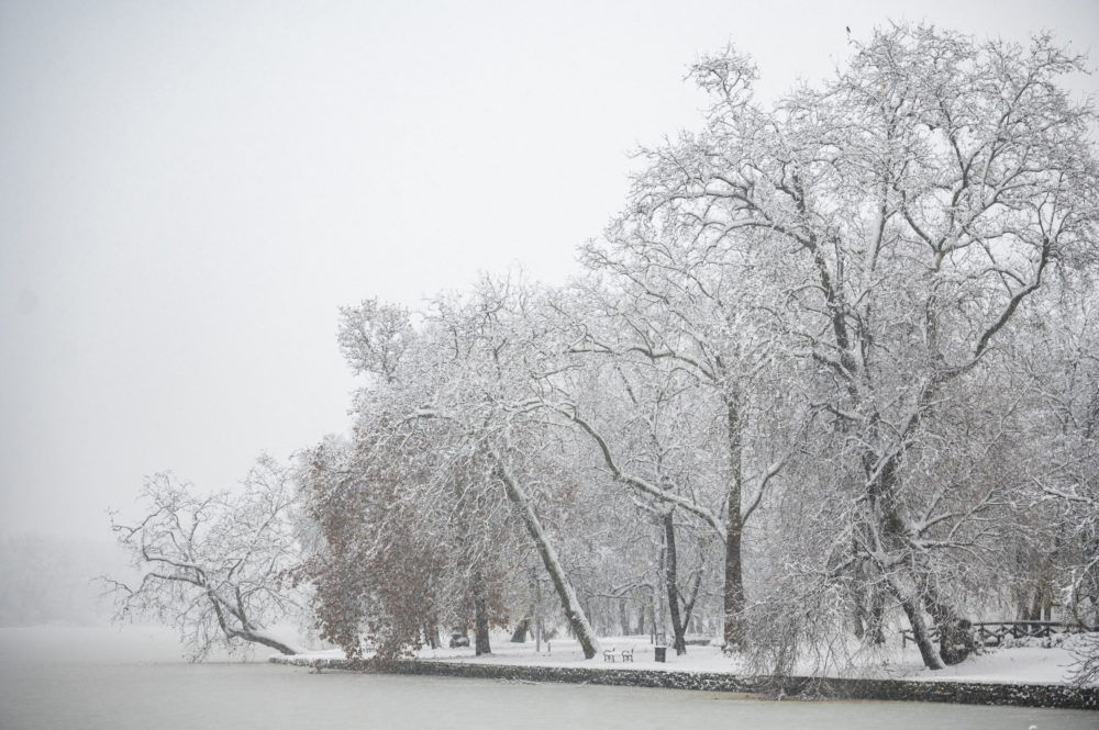 Sok munkát okozott a tűzoltóknak a hóesés