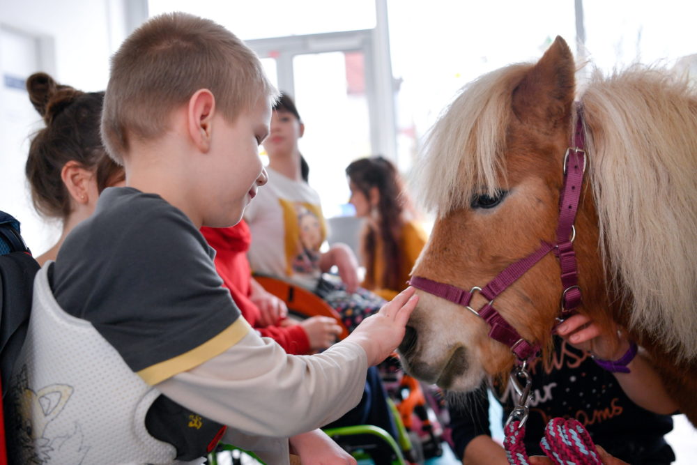Állatok társaságában várhatják a karácsonyt és az újévet a gyerekek