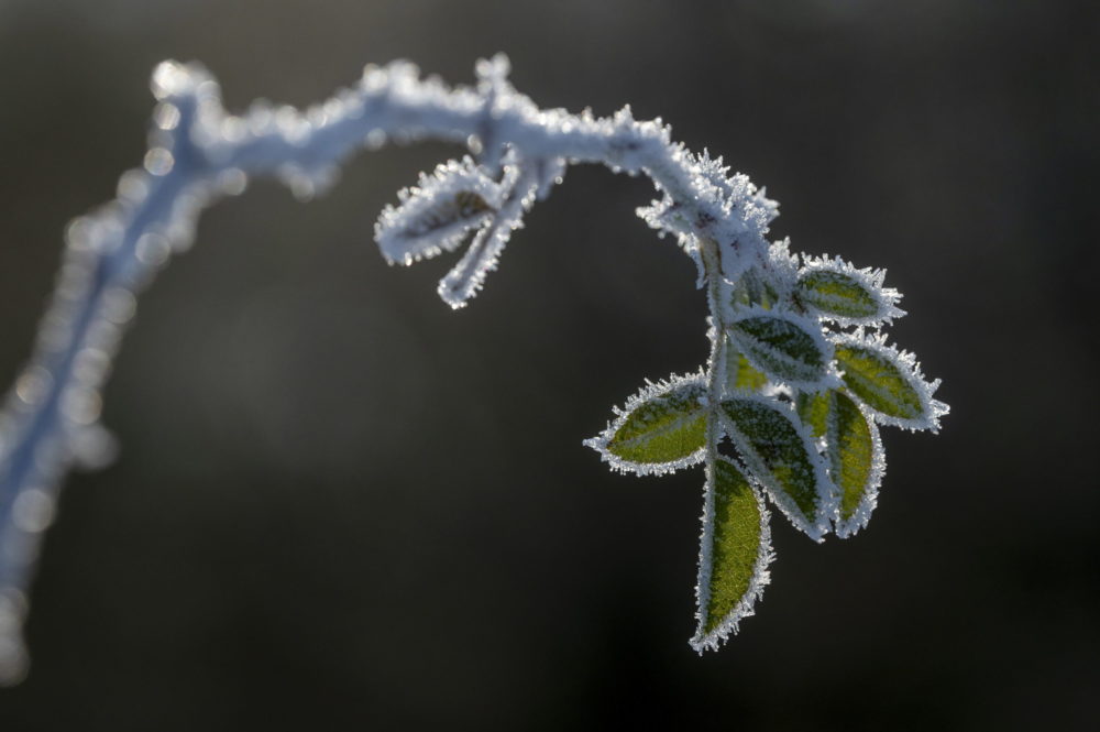 Tél Nógrád vármegyében