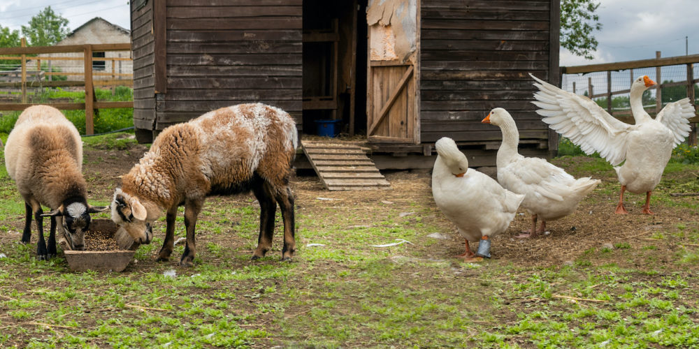 Ebből még baj lehet... 2.