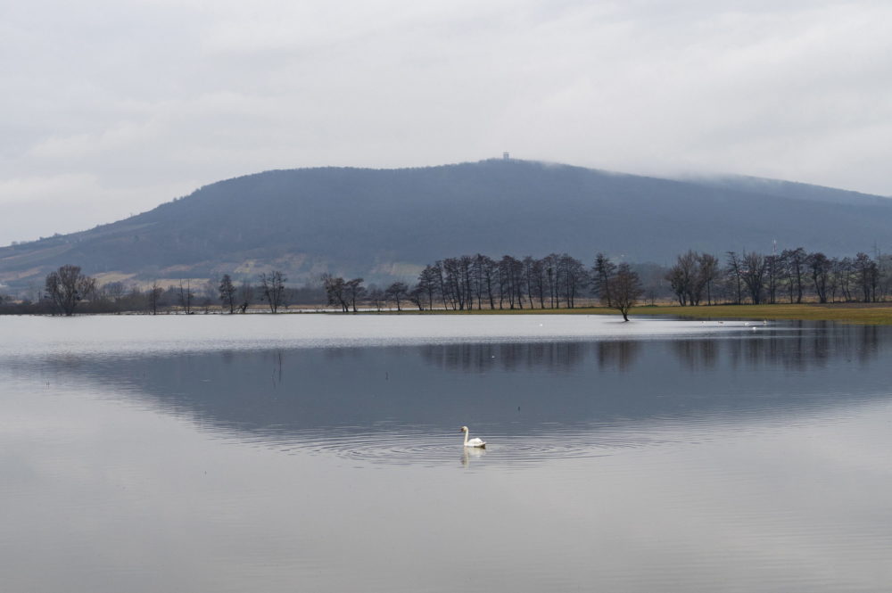 Belvíz Sátoraljaújhely határában