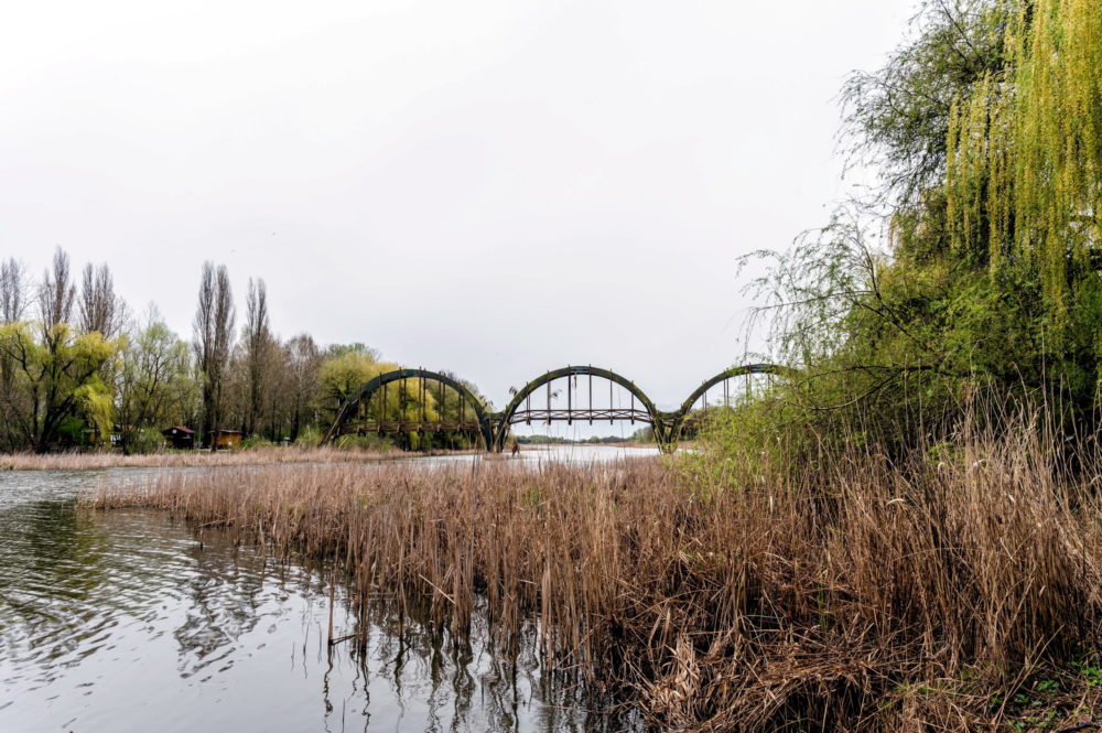 Február 2-án ünnepeljük a Vizes Élőhelyek Világnapját