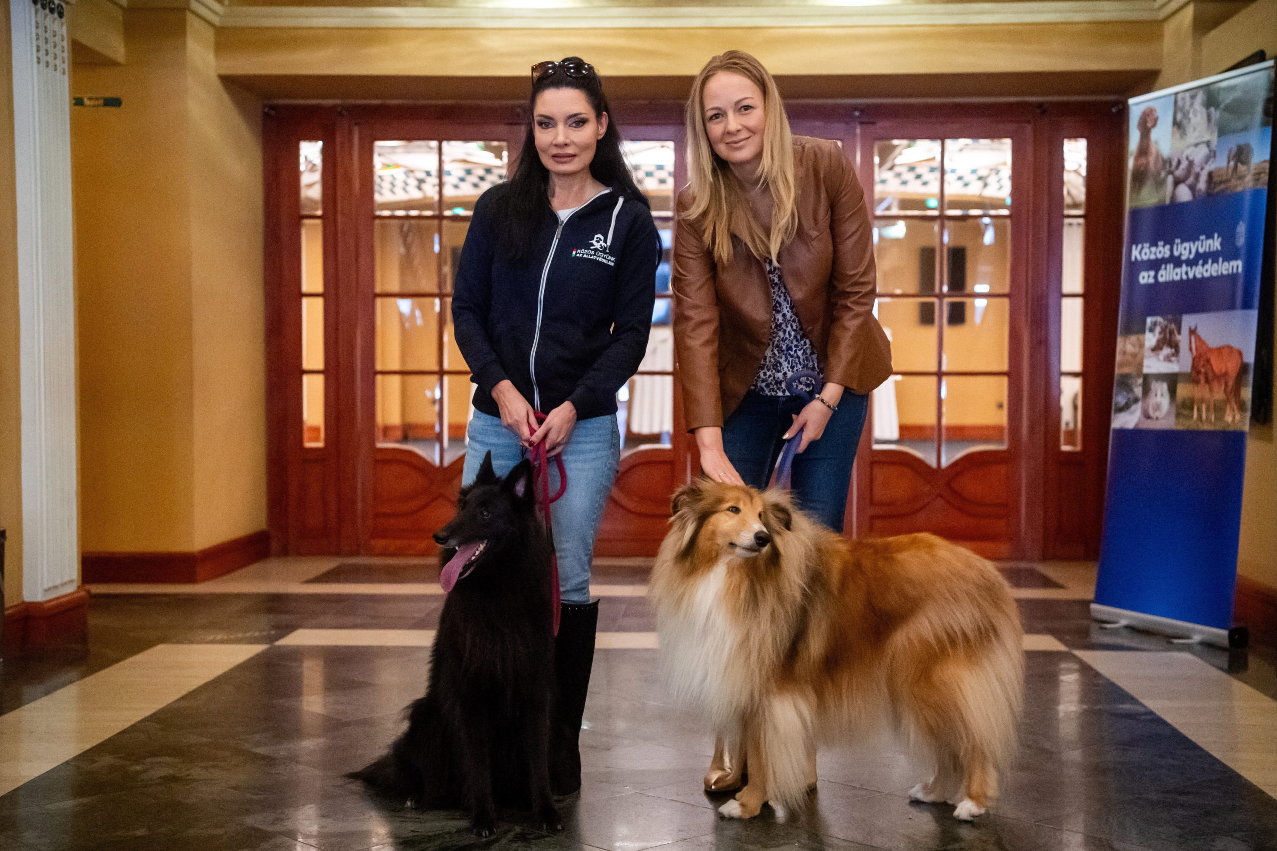 Színházban tanítják állatvédelemre a gyerekeket