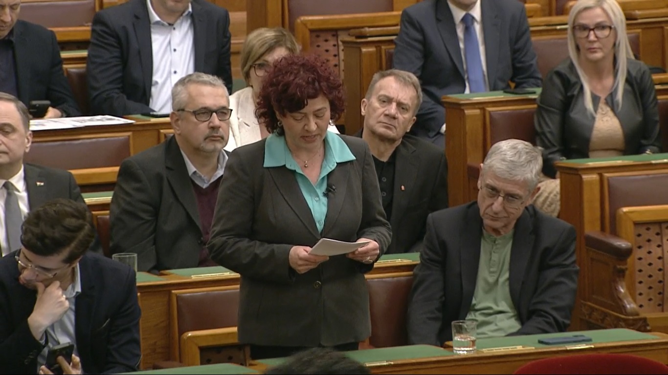 Vadai: Nem lesz kegyelem!