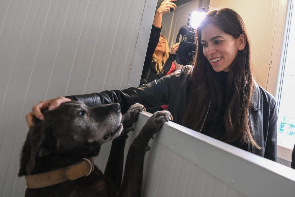 Szentkirályi Alexandra: Karácsony Gergelyék sorsukra hagyták az állatokat