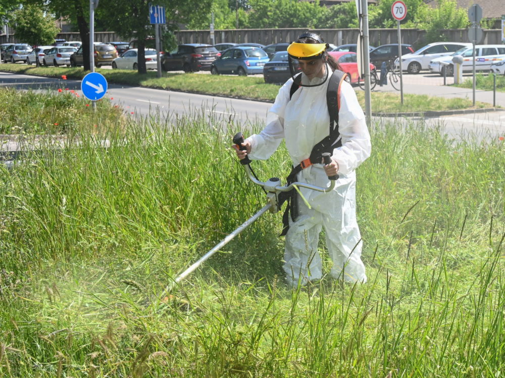 Gazos területet kaszált kampányában a Fidesz főpolgármester-jelöltje