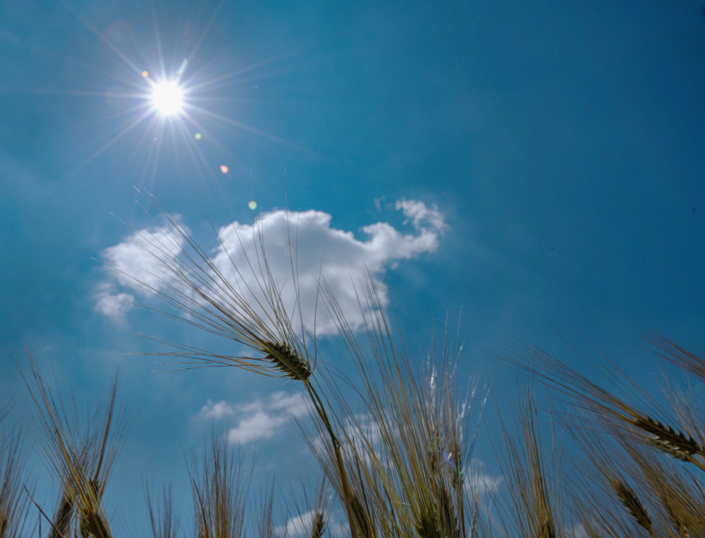 A melegben végzett munka veszélyeire figyelmeztet a Nemzetgazdasági Minisztérium