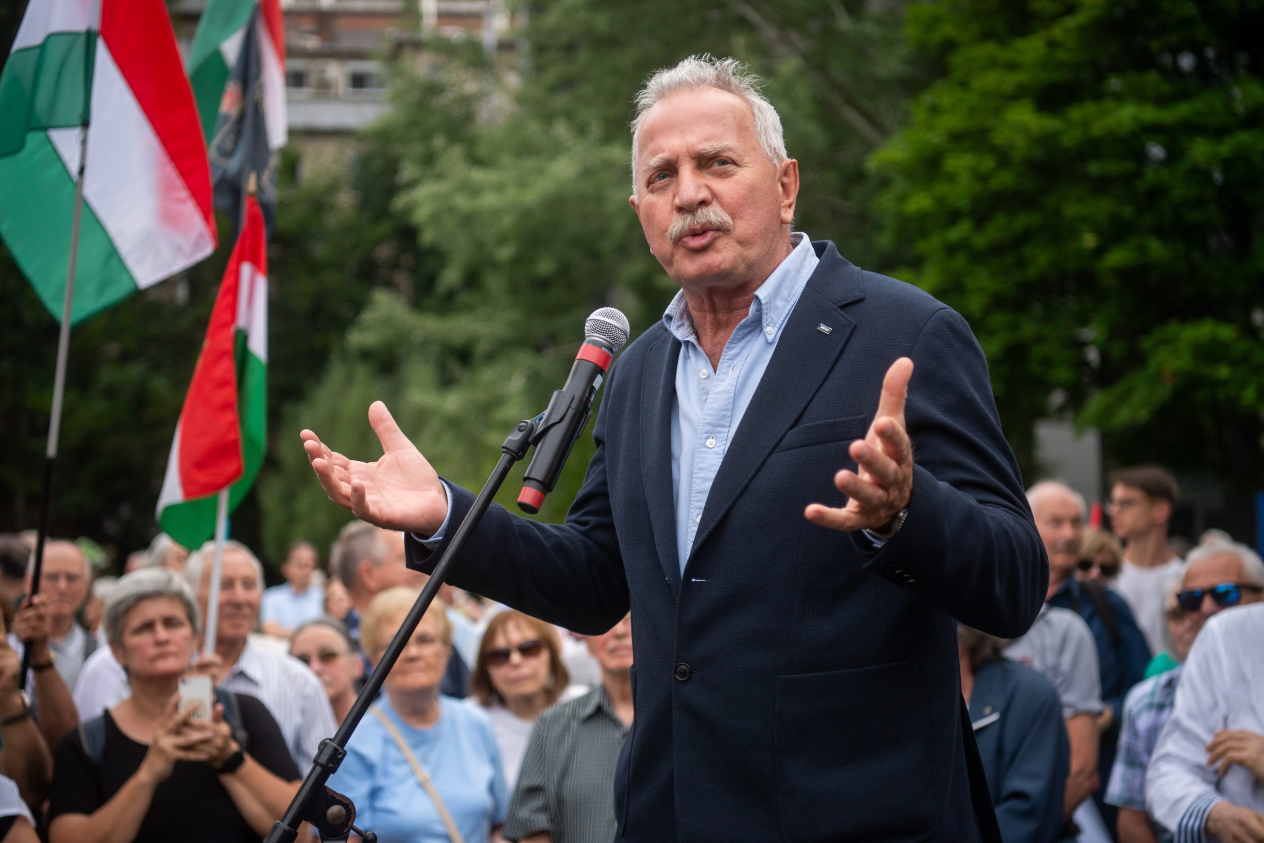 A hazánkat elítélő uniós döntés ellen tüntettek Budapesten (videó)