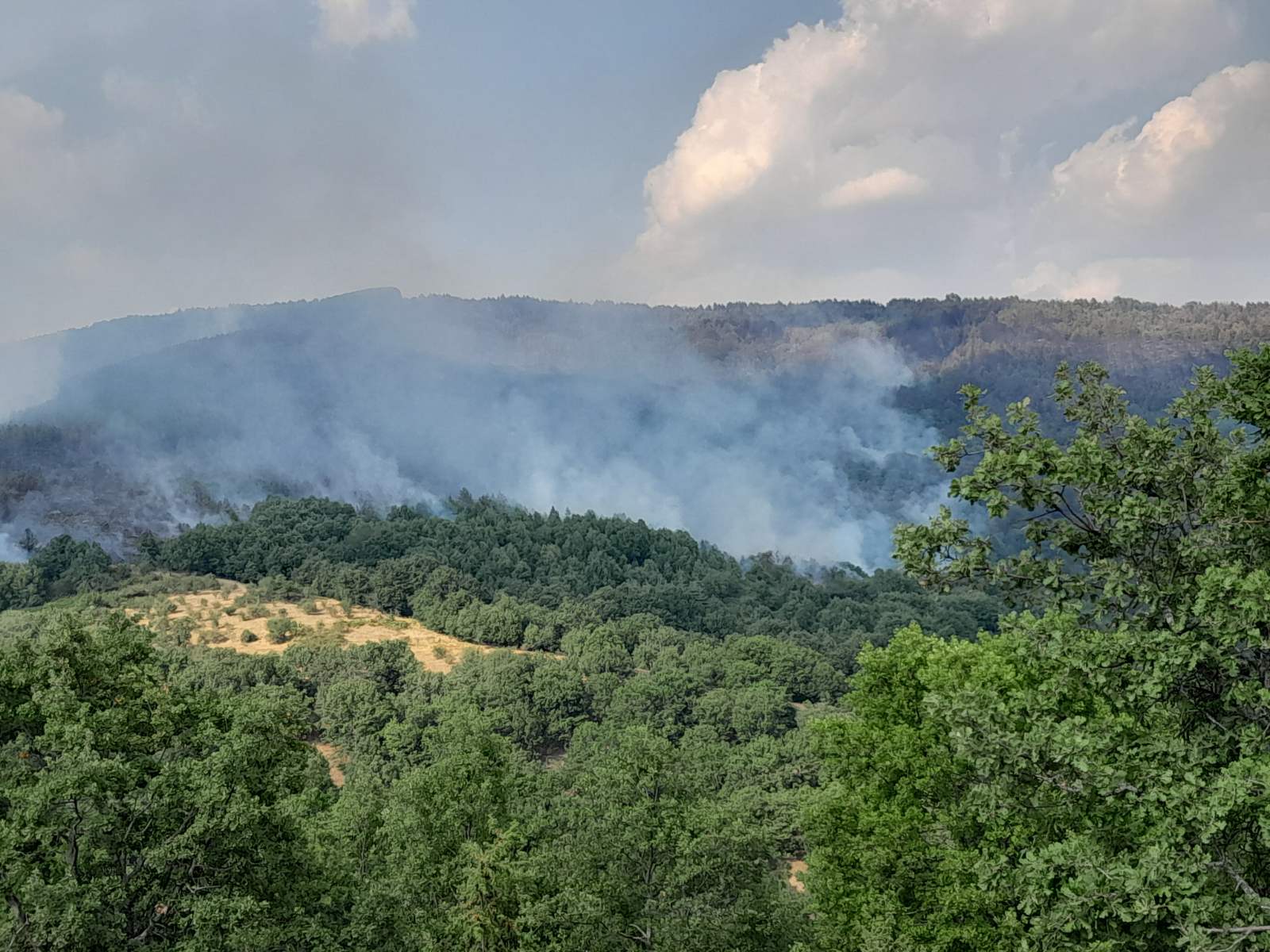 Válsághelyzetet hirdettek Észak-Macedóniában az erdőtüzek miatt