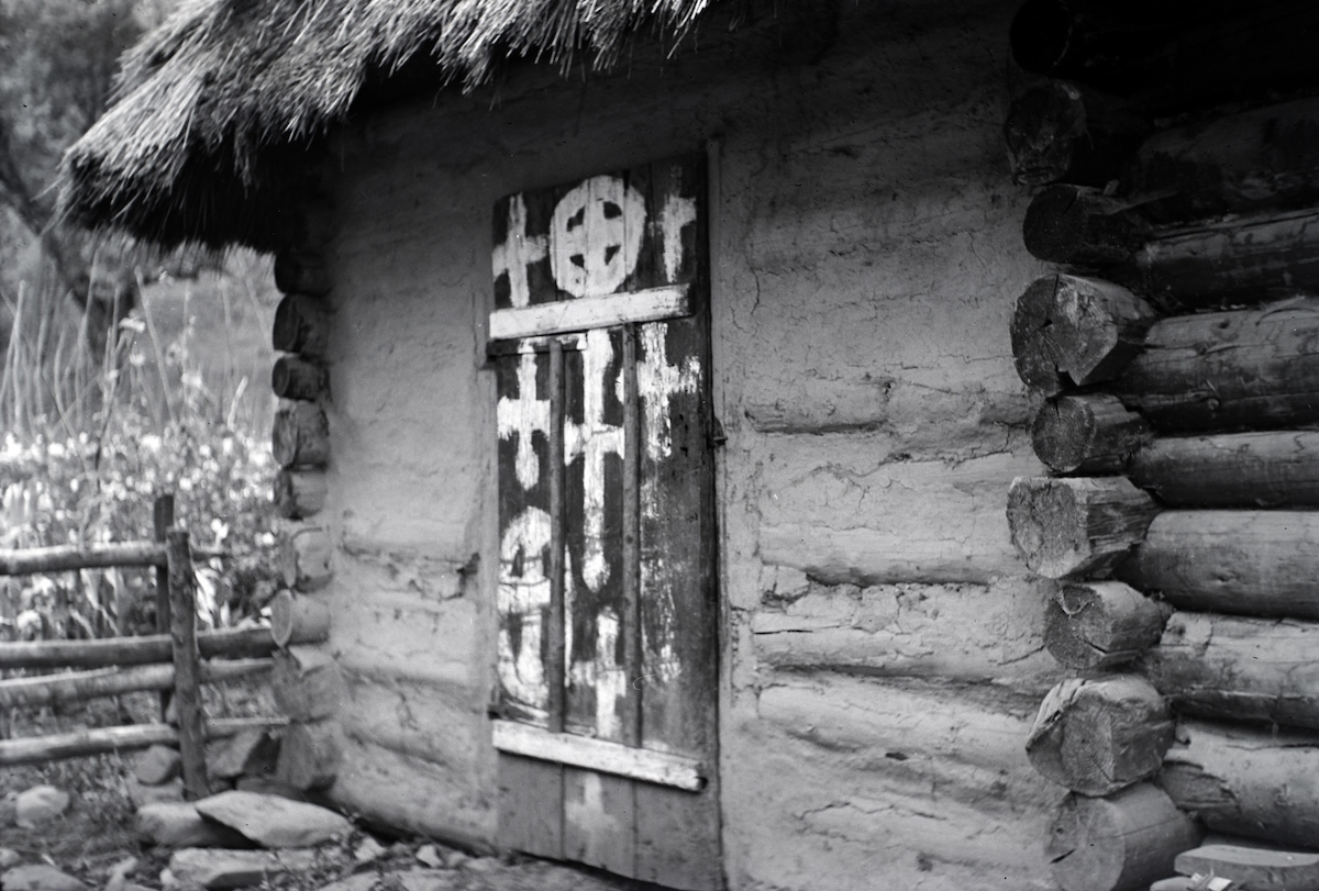 A csordásfarkas bosszúja