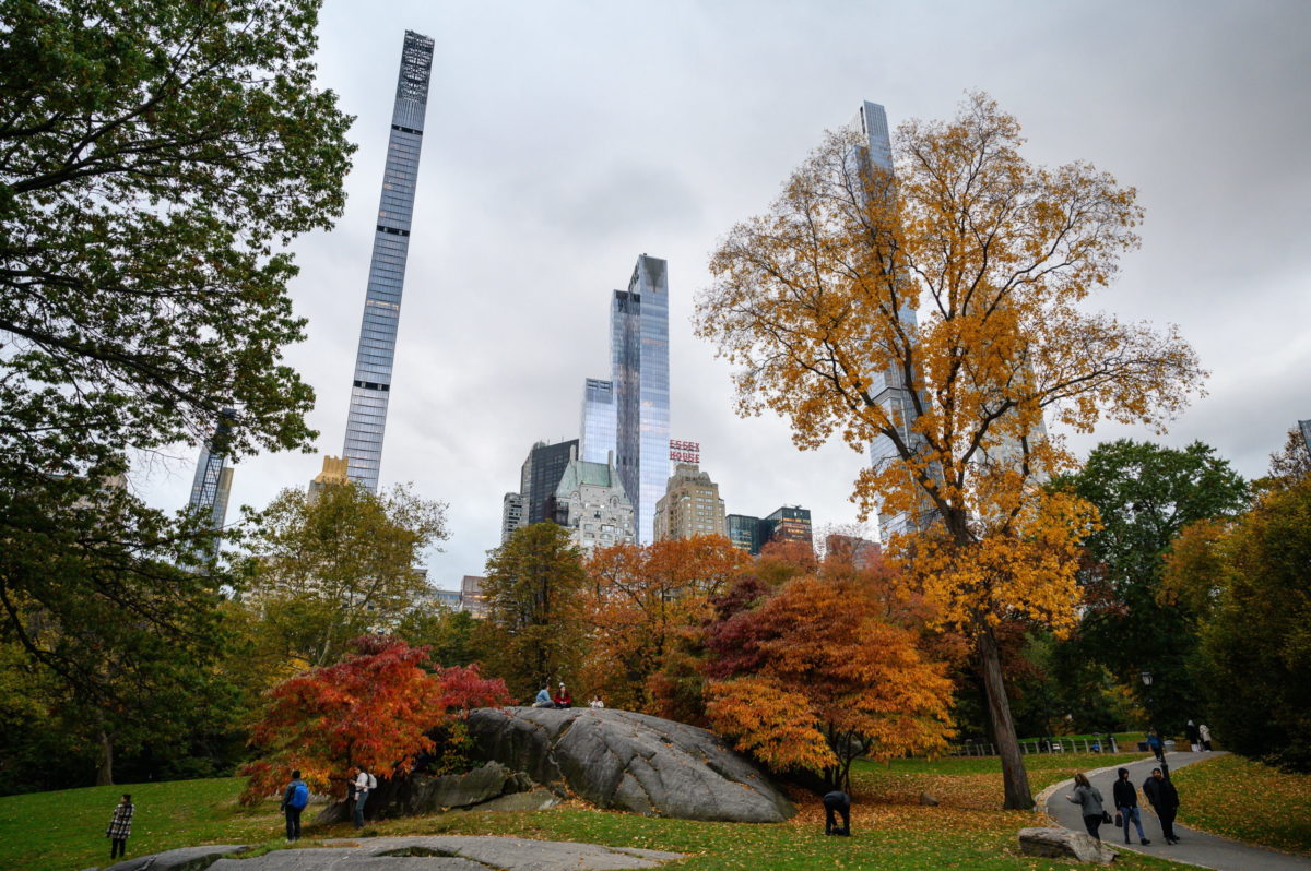 A Central Parkban szabadult meg egy medvebocs tetemétől az amerikai elnökjelölt