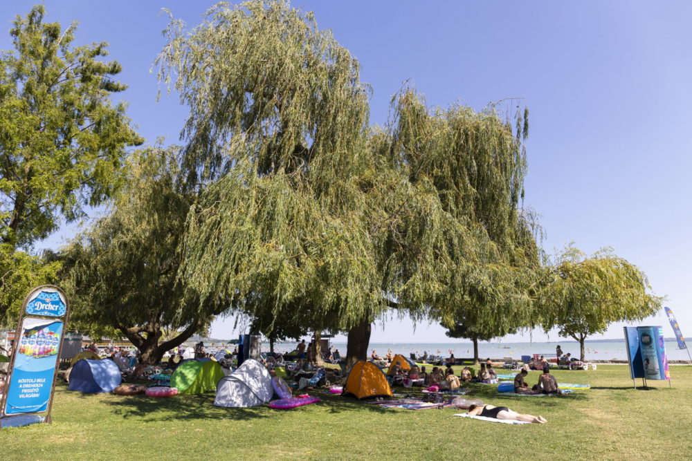 Balatoni vendéglátókat ellenőrzött a Nébih