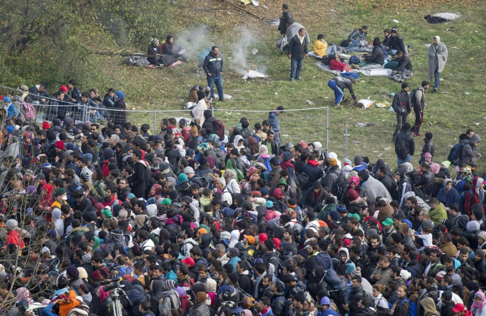 Kormányra kerülése esetén teljesen visszaszorítaná a bevándorlást az FPÖ