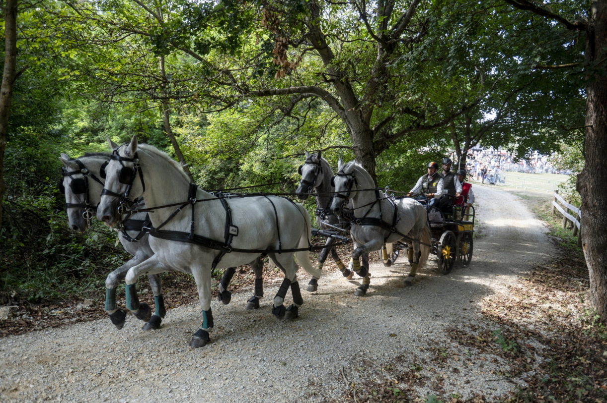 Négyesfogathajtó-vb Szilvásváradon