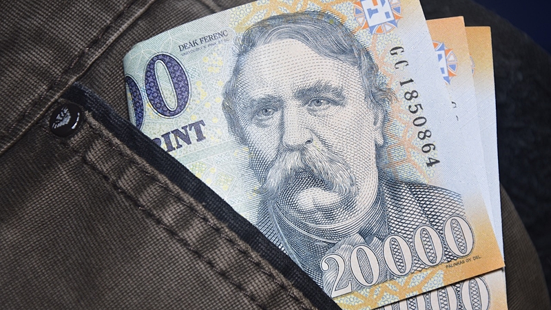 Létrejött a Magyar Fenntartható Befektetési és Pénzügyi Fórum