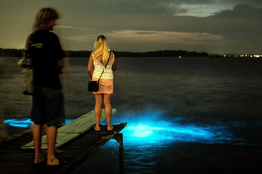 Természet Dániában