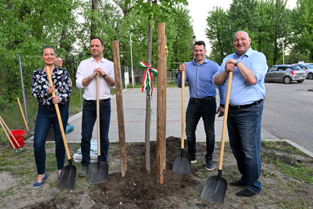 Közösen ültetett fát Németh Szilárd és Nyitrai Zsolt Csepelen